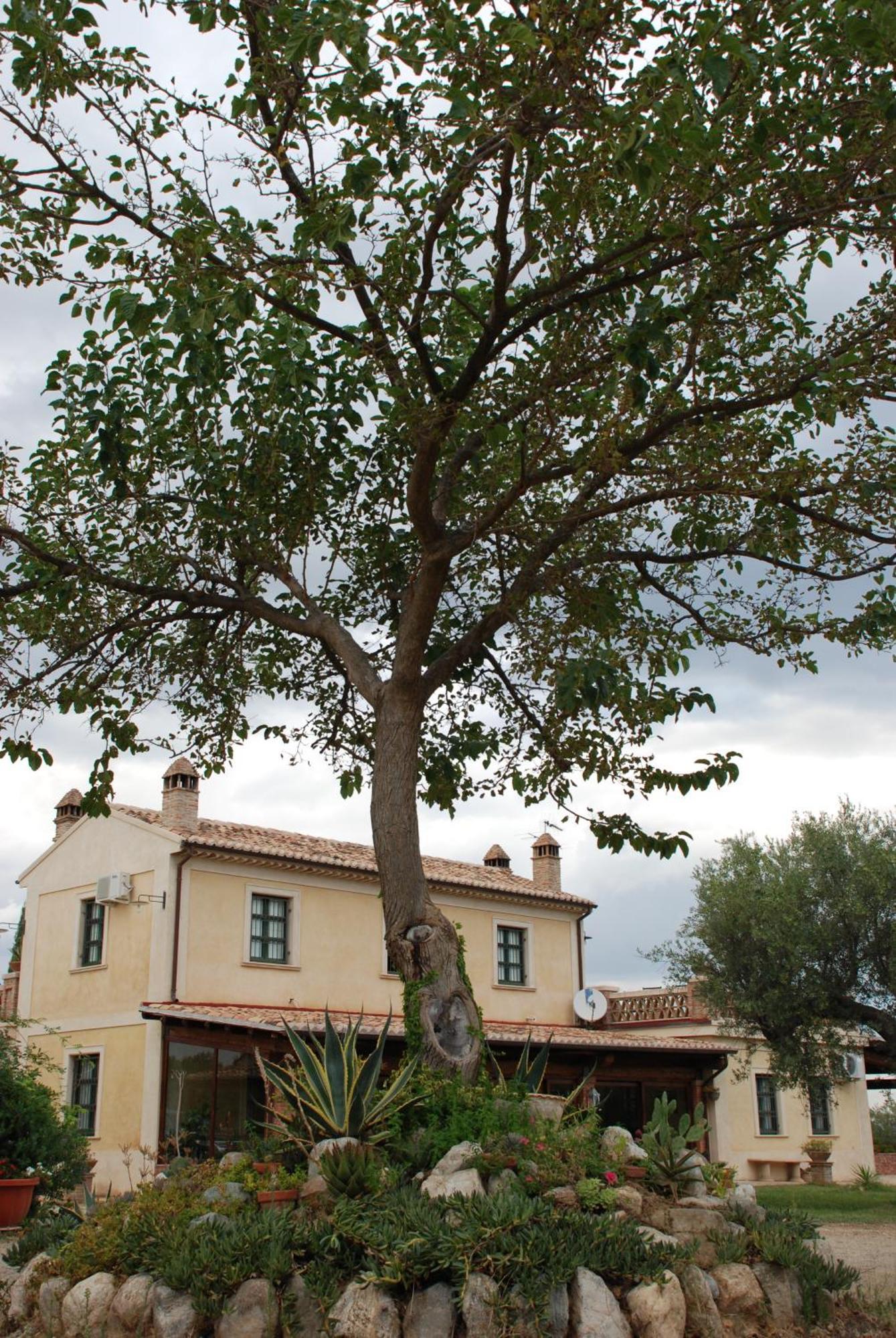Agriturismo Casacchella Marina di Sibari Bilik gambar